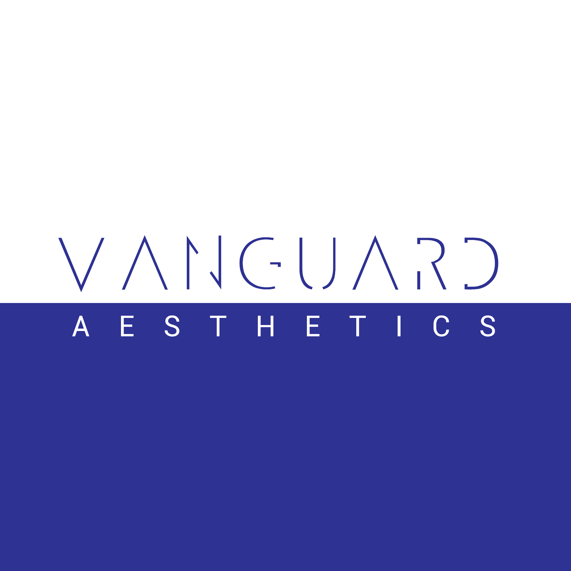 Vanguard Aesthetics